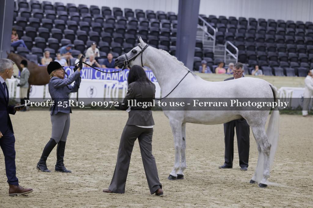 Proof 25R13_00972