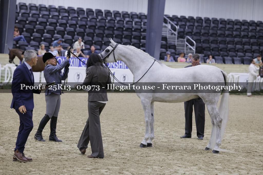 Proof 25R13_00973