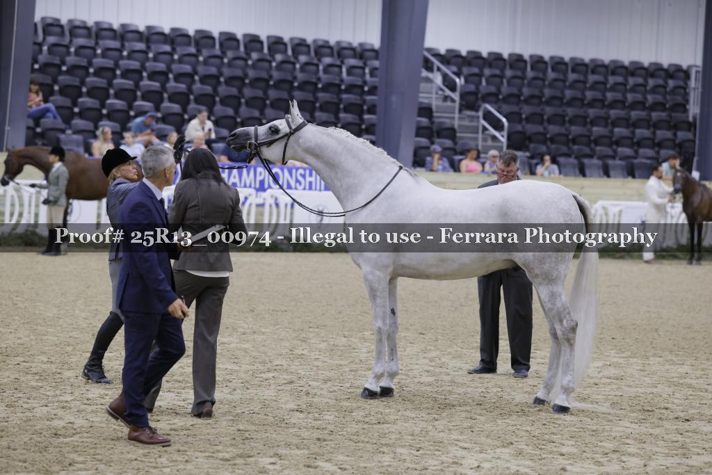 Proof 25R13_00974