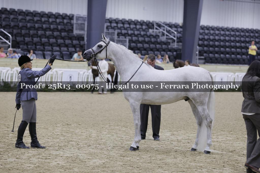 Proof 25R13_00975