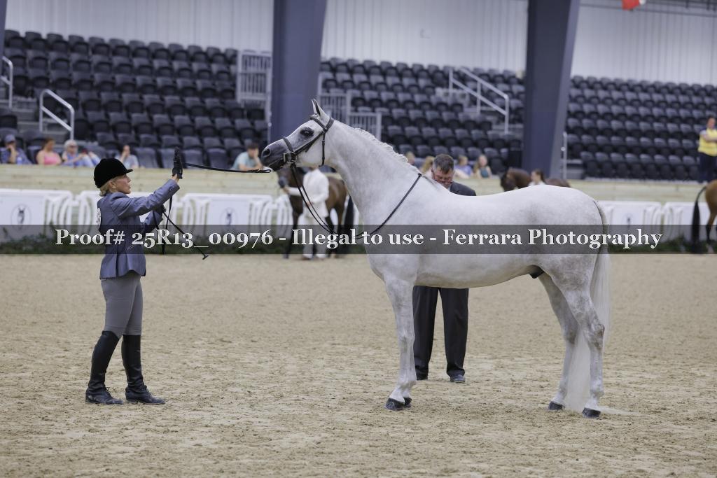 Proof 25R13_00976