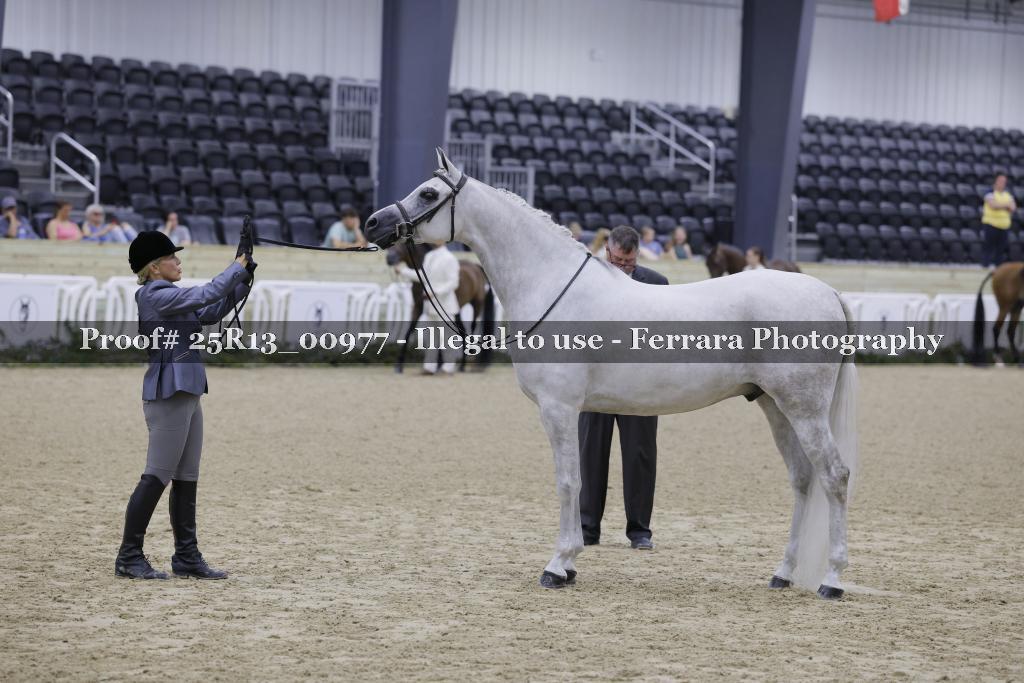 Proof 25R13_00977