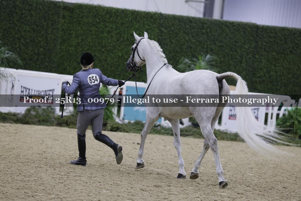 Proof 25R13_00979
