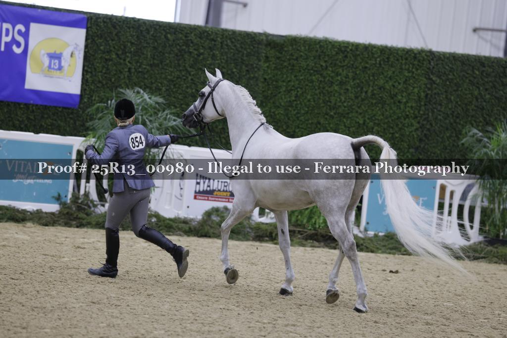 Proof 25R13_00980