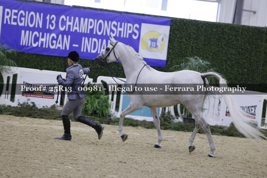 Proof 25R13_00981