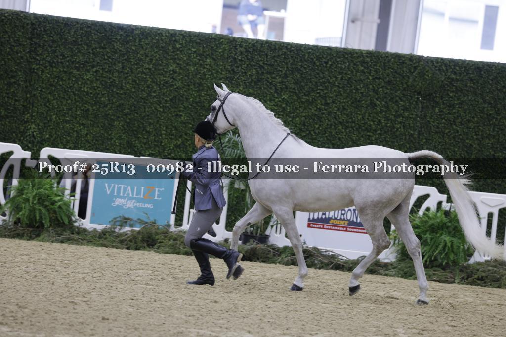 Proof 25R13_00982