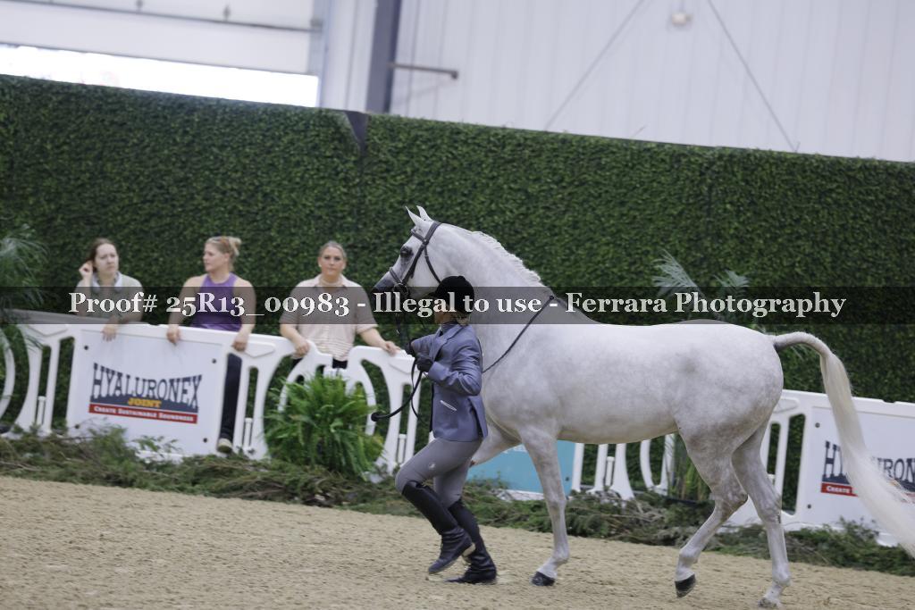 Proof 25R13_00983