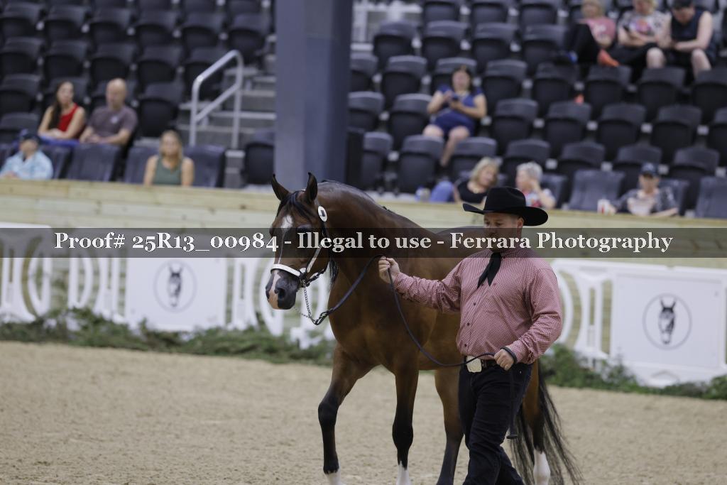 Proof 25R13_00984