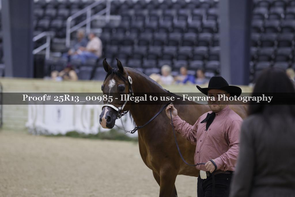 Proof 25R13_00985