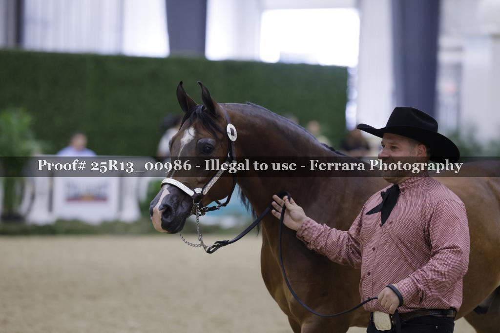 Proof 25R13_00986