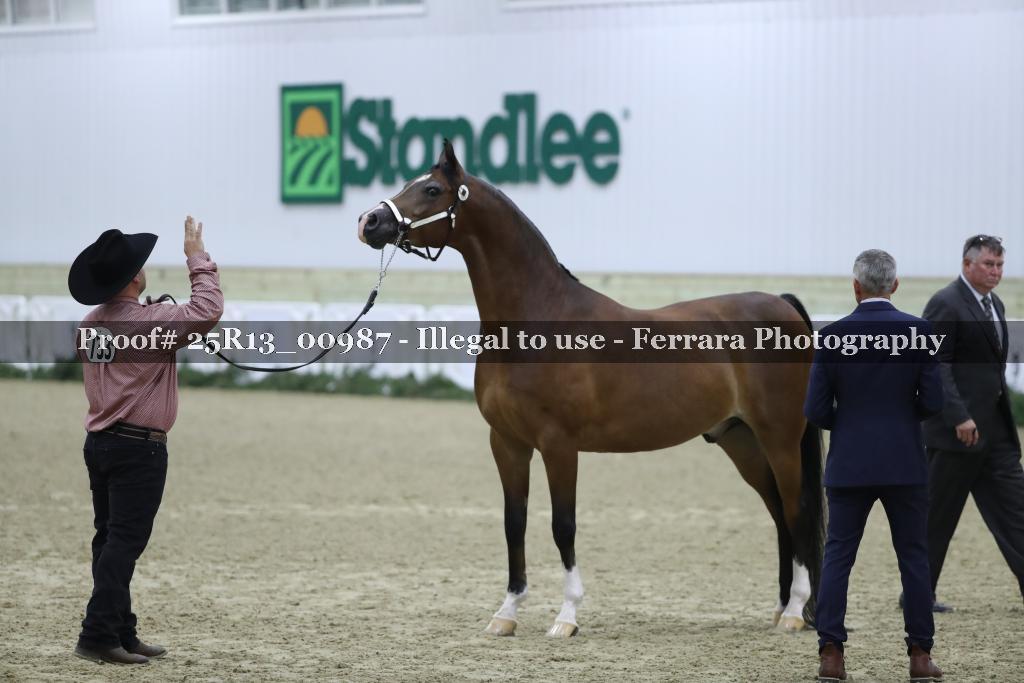 Proof 25R13_00987