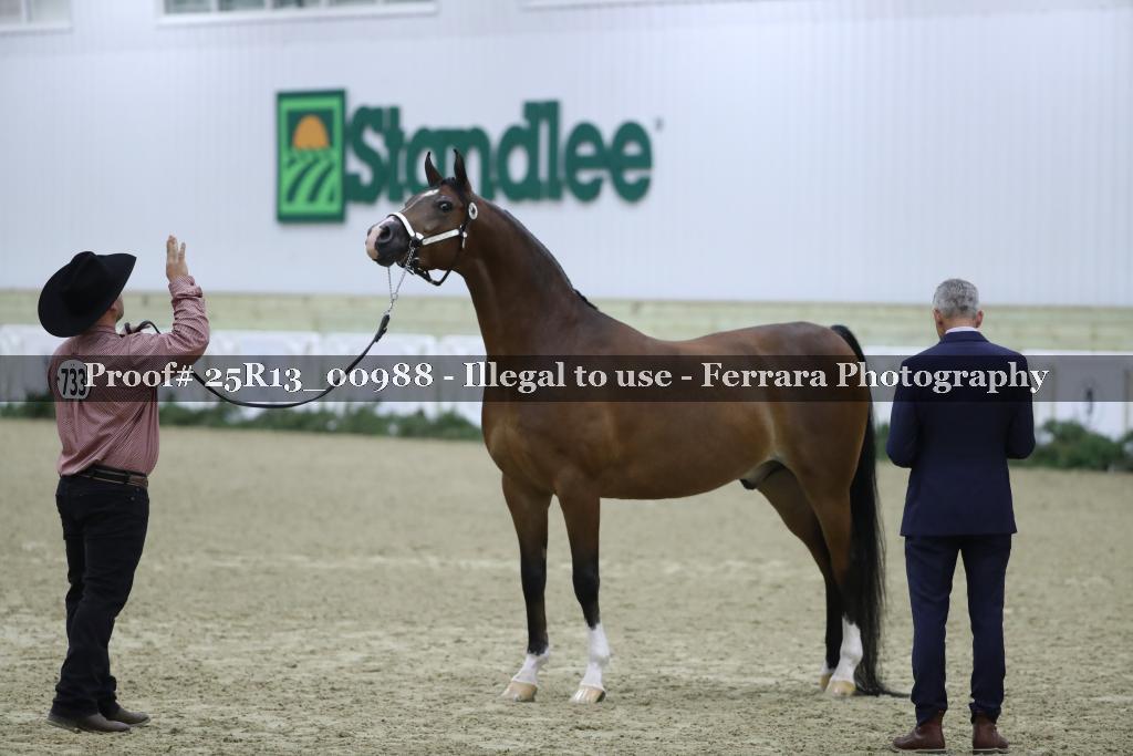 Proof 25R13_00988