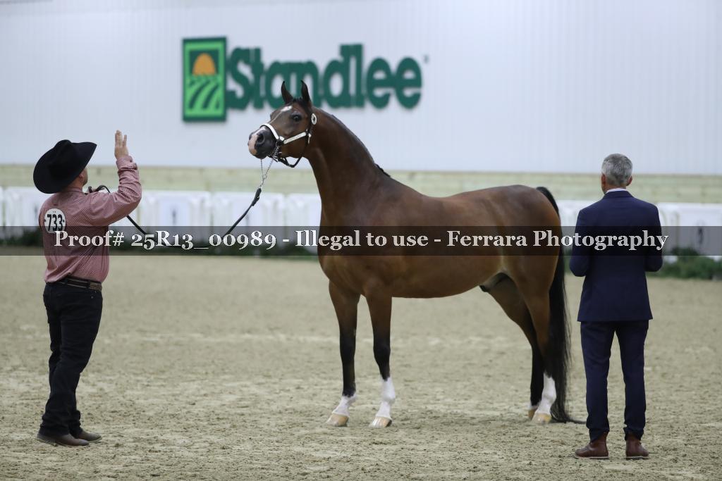 Proof 25R13_00989