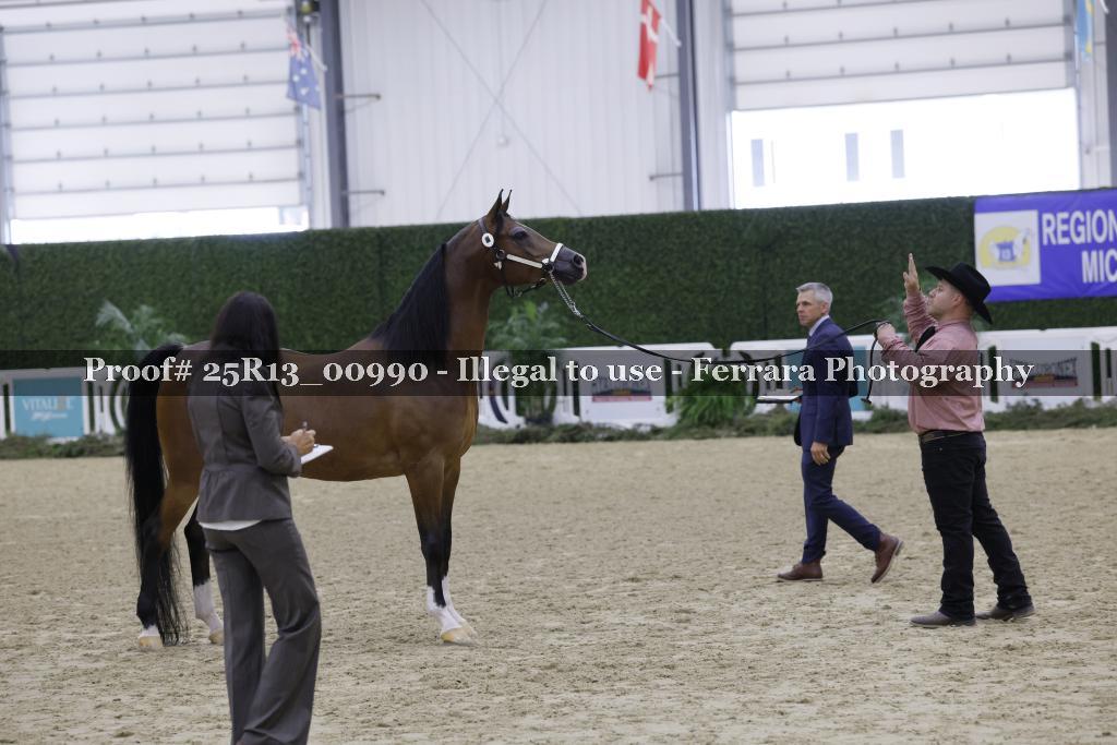 Proof 25R13_00990