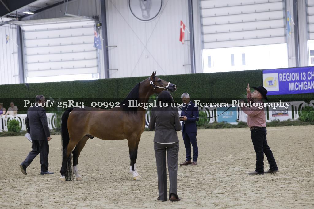 Proof 25R13_00992