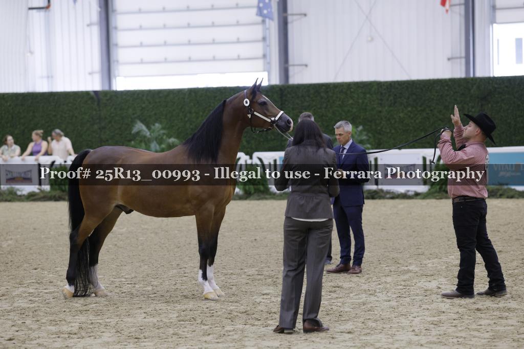 Proof 25R13_00993