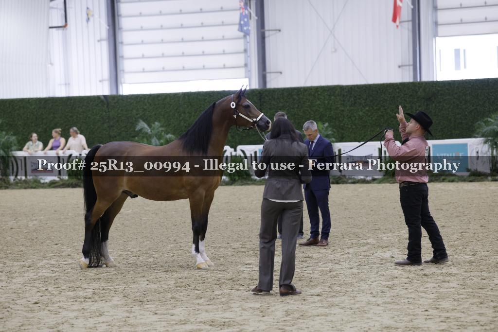 Proof 25R13_00994