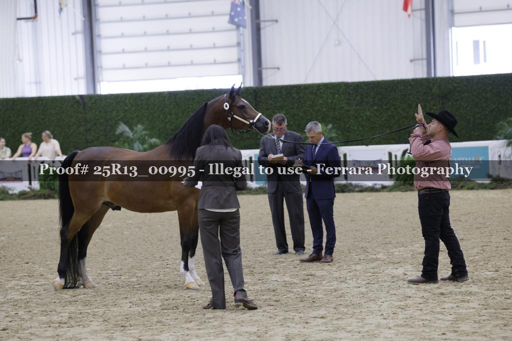 Proof 25R13_00995