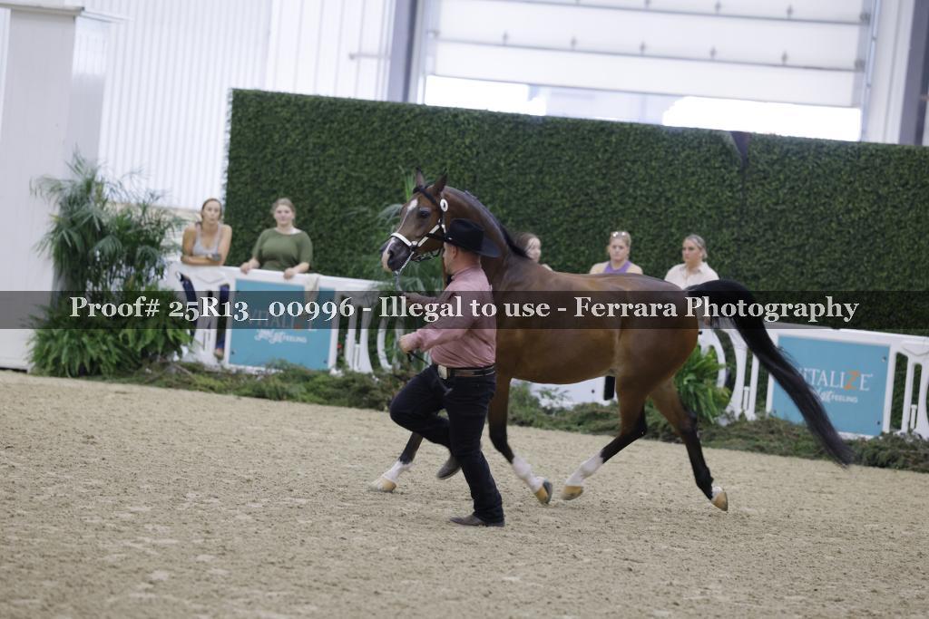 Proof 25R13_00996