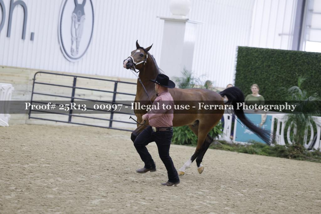 Proof 25R13_00997
