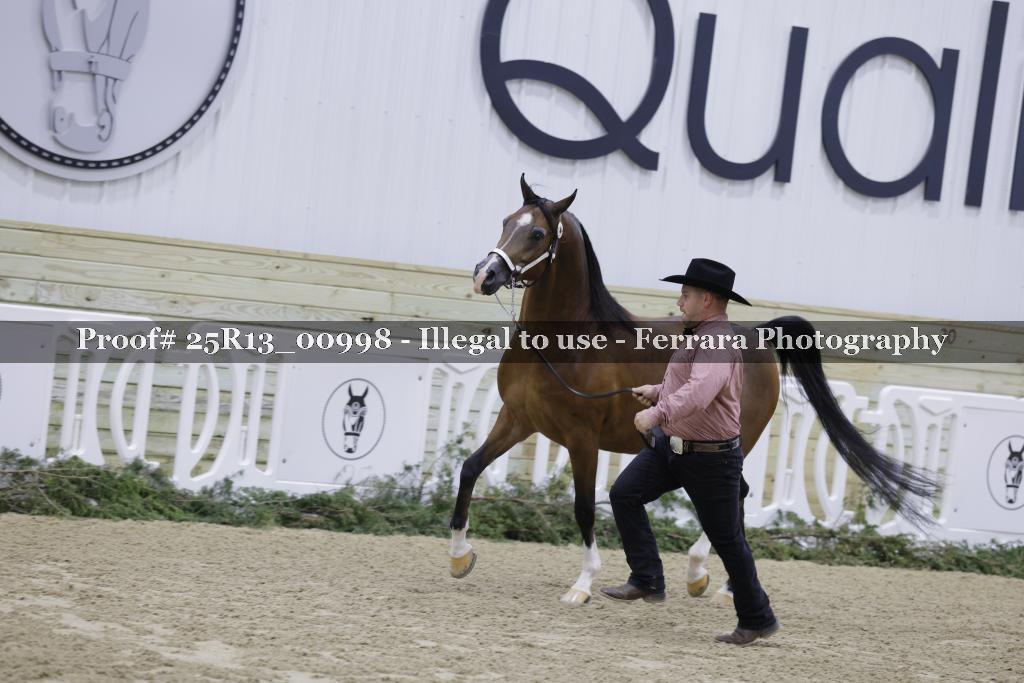 Proof 25R13_00998