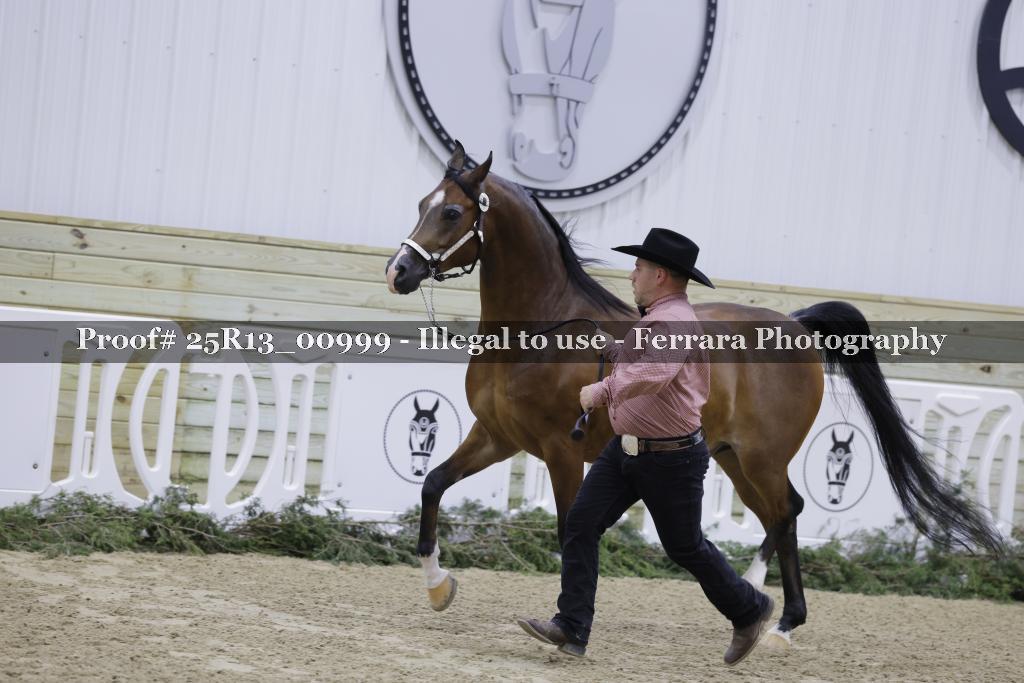 Proof 25R13_00999