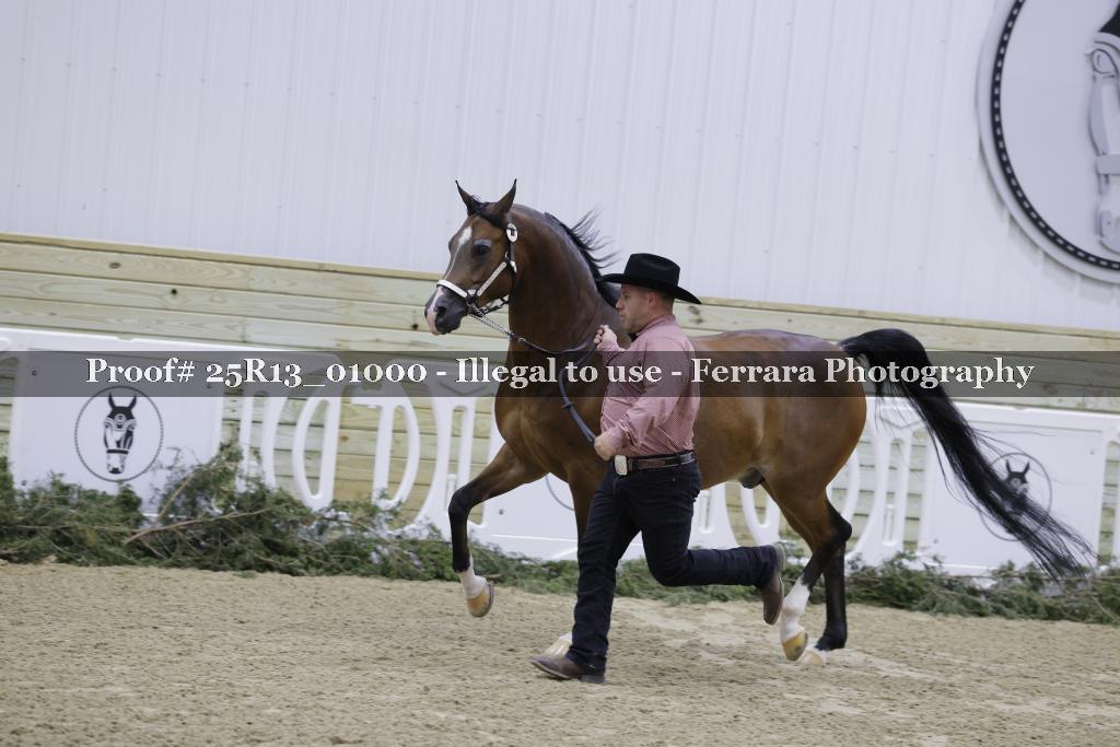 Proof 25R13_01000