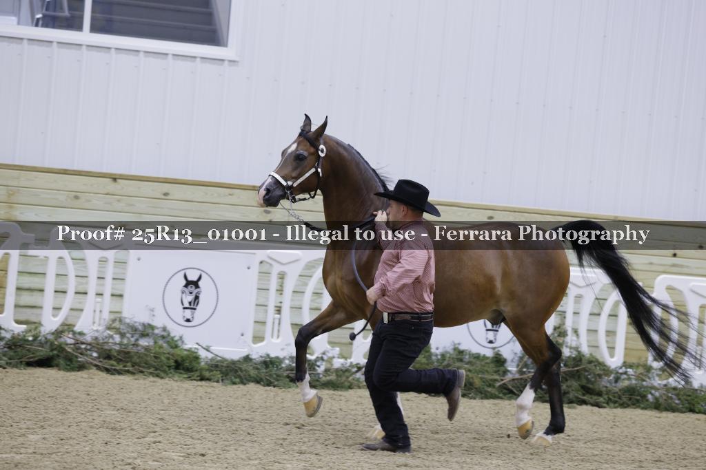 Proof 25R13_01001