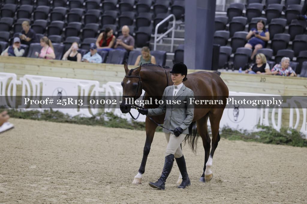 Proof 25R13_01002