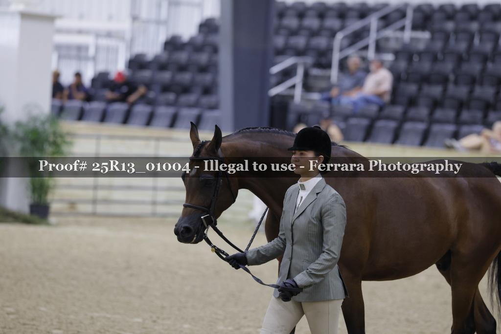 Proof 25R13_01004