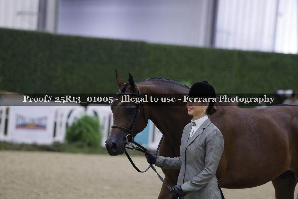 Proof 25R13_01005