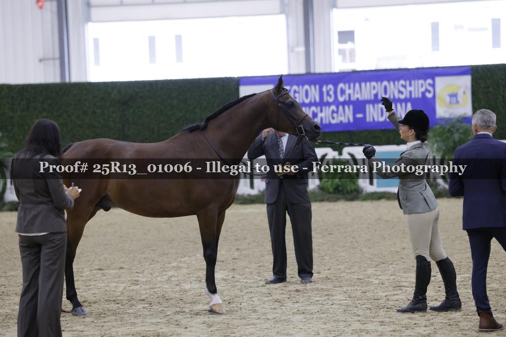 Proof 25R13_01006