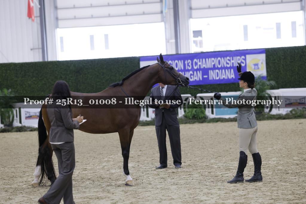Proof 25R13_01008