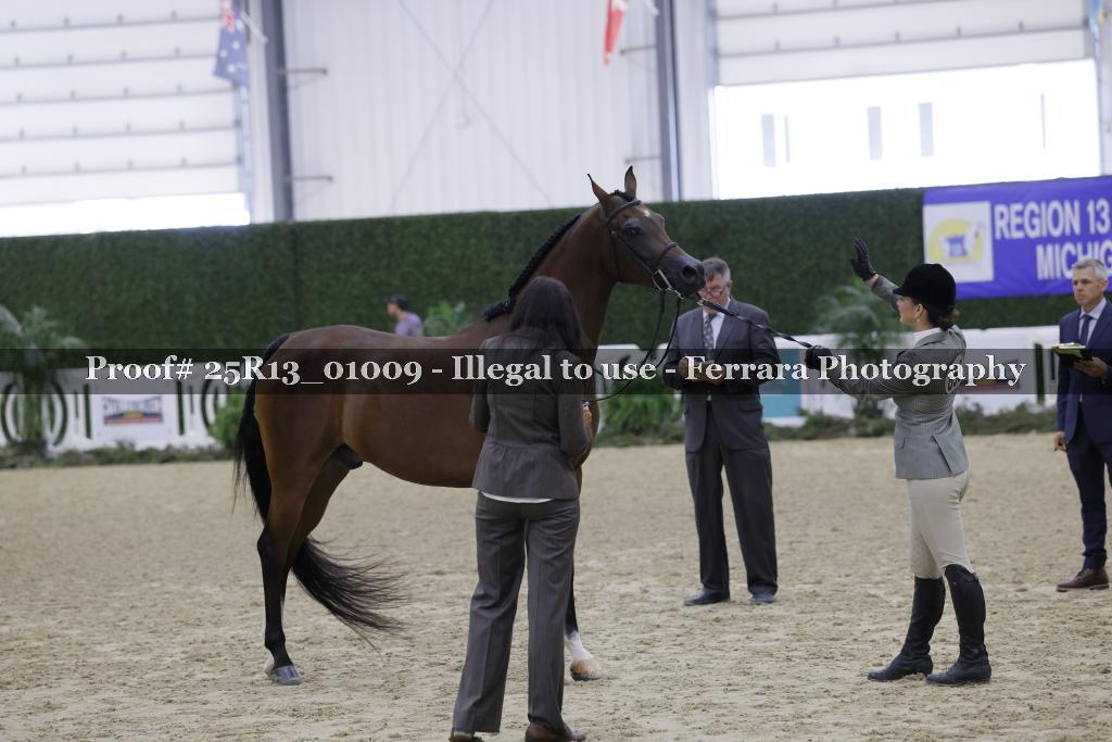 Proof 25R13_01009