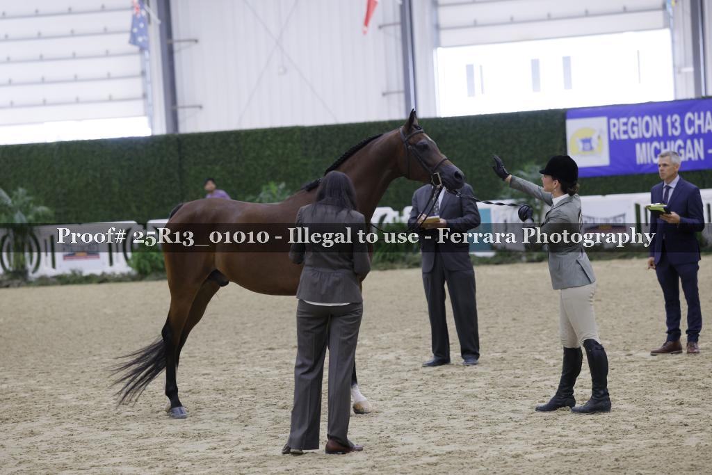 Proof 25R13_01010