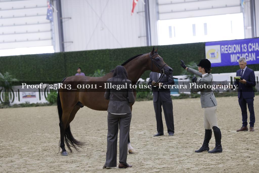 Proof 25R13_01011
