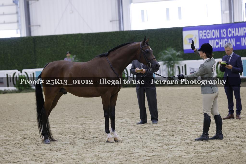 Proof 25R13_01012