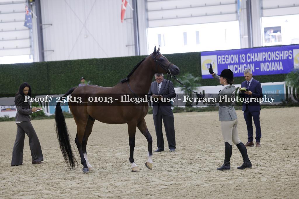 Proof 25R13_01013