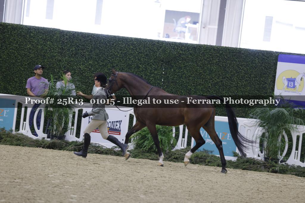Proof 25R13_01015