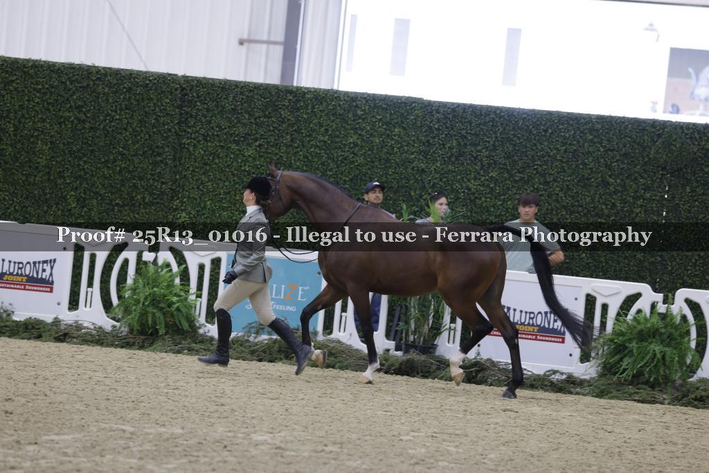 Proof 25R13_01016