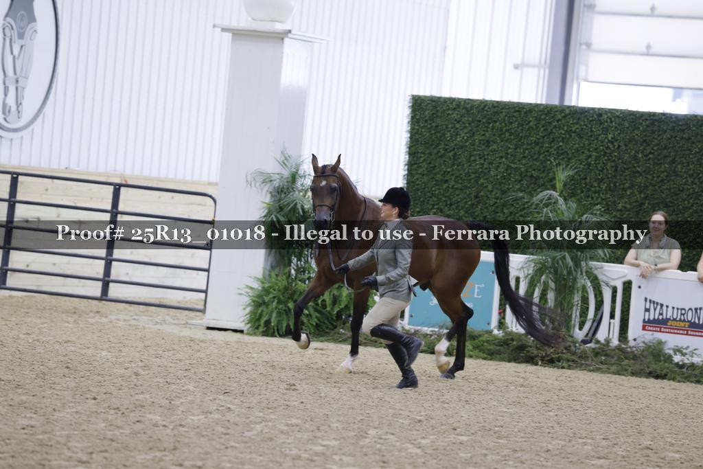 Proof 25R13_01018
