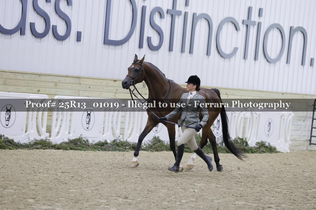 Proof 25R13_01019
