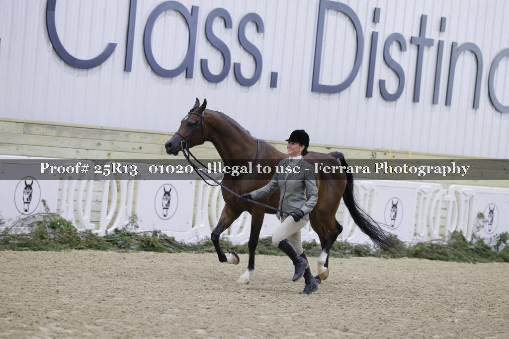 Proof 25R13_01020