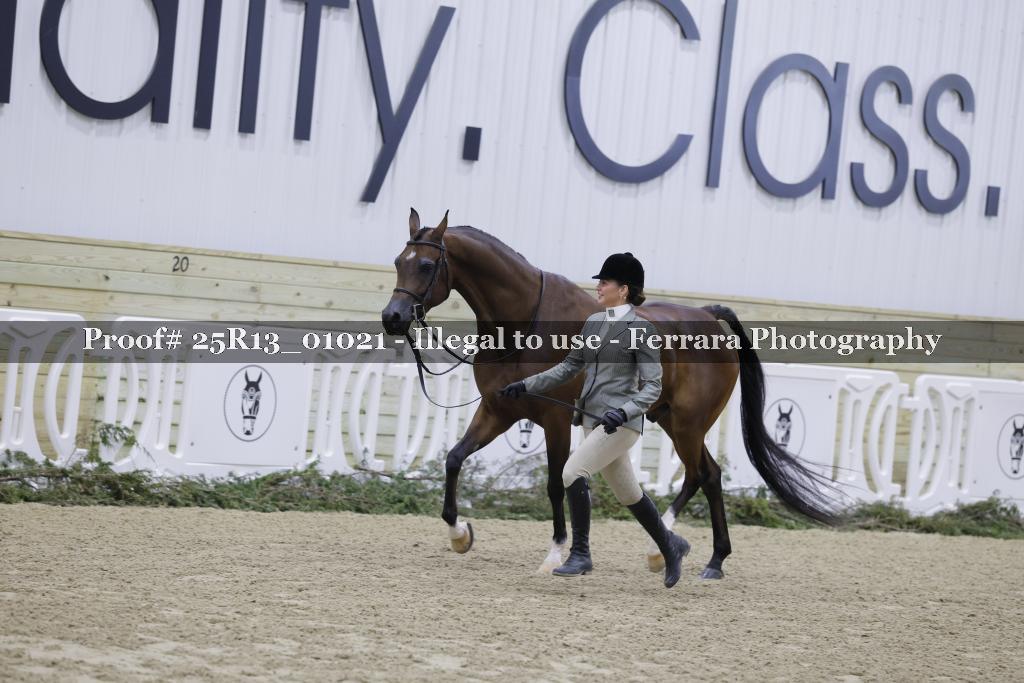 Proof 25R13_01021