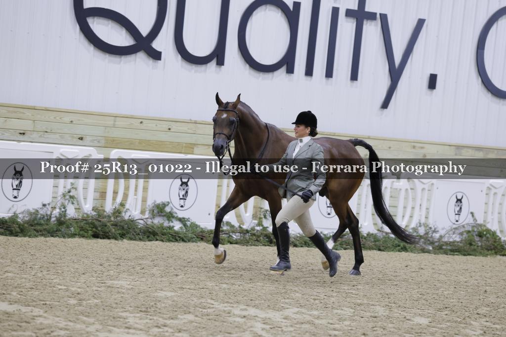 Proof 25R13_01022