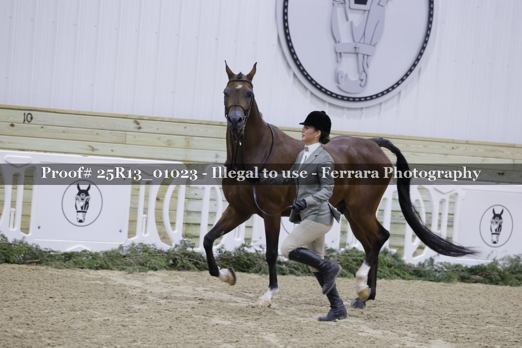 Proof 25R13_01023
