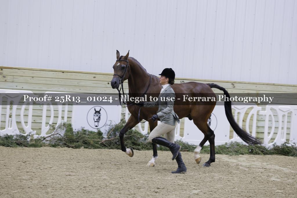 Proof 25R13_01024
