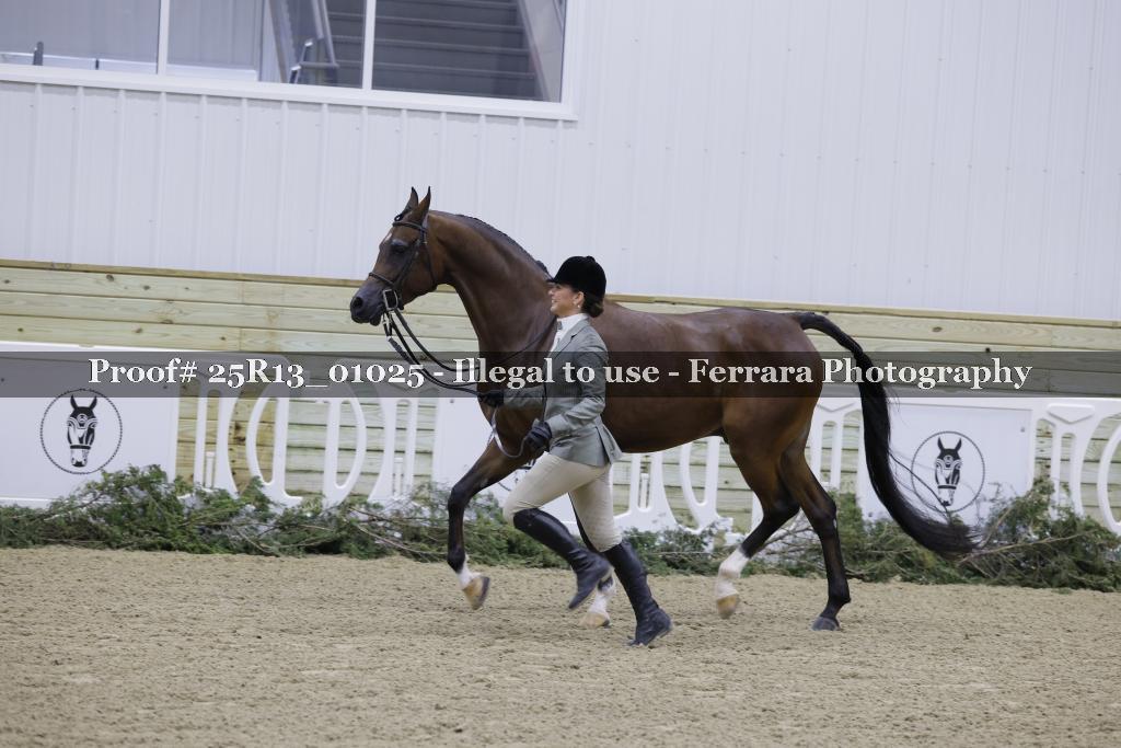 Proof 25R13_01025