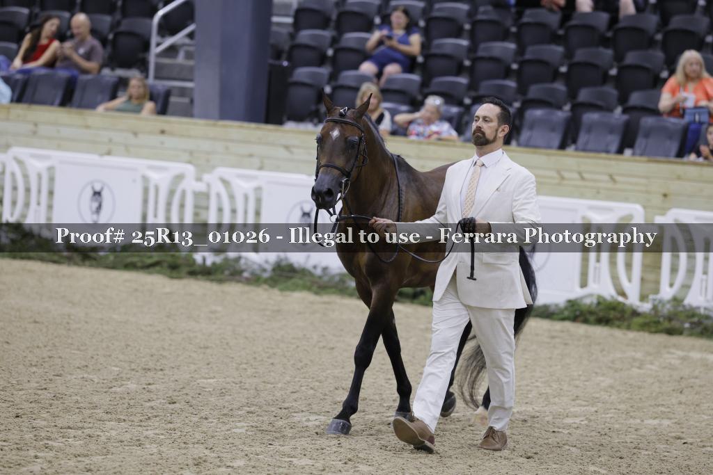 Proof 25R13_01026