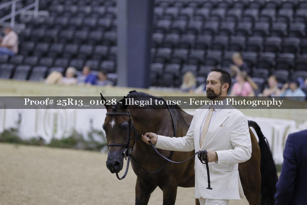 Proof 25R13_01028